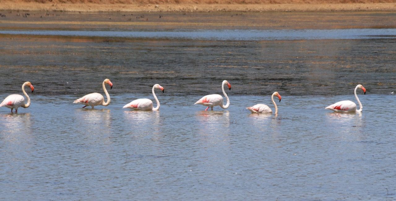Ferme à Antequera (Málaga). 1.000 hectares