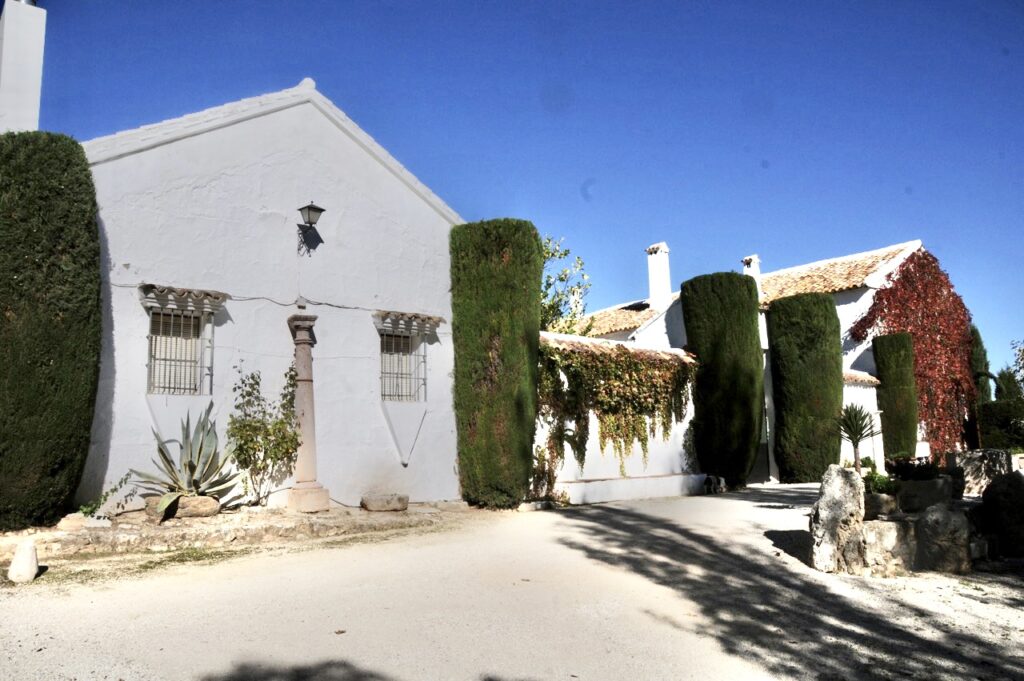 Venta de finca en la provincia de Cádiz. 1.000 hectáreas