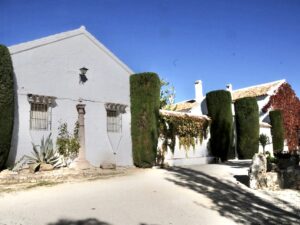 Venta de finca en la provincia de Cádiz. 1.000 hectáreas