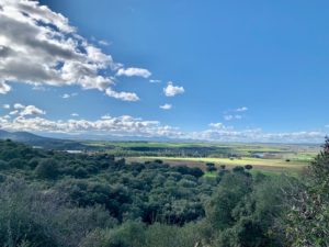 Venta de finca el Alcolea de Tajo (Toledo). 8,28 hectáreas