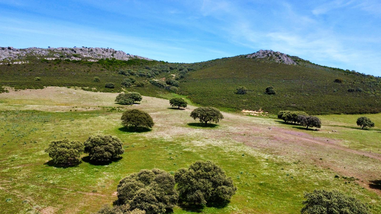Viehzuchtbetrieb in der Provinz Cáceres zu verkaufen. 180 Hektar