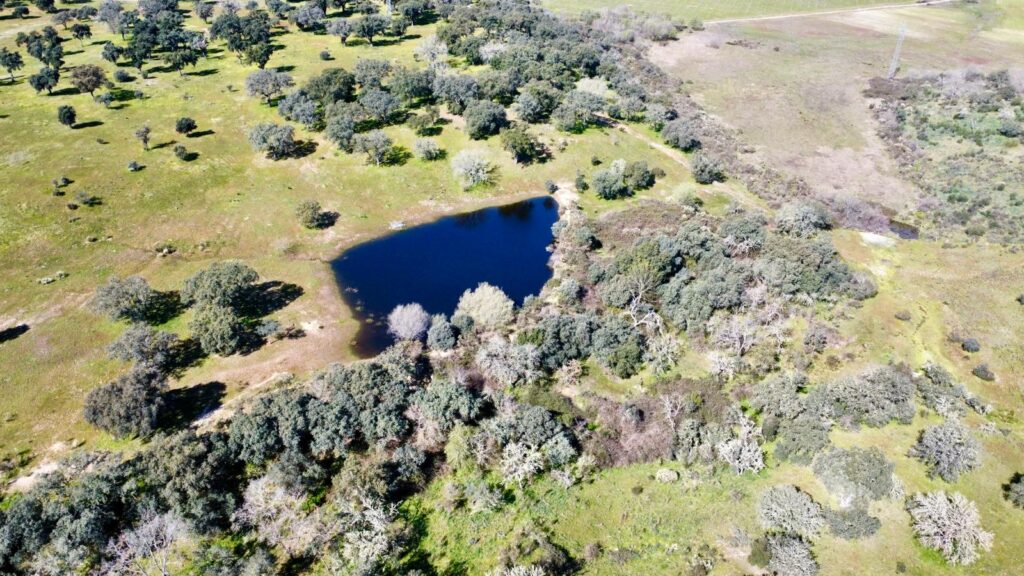 Ferme d'élevage à vendre dans la province de Cáceres. 52 hectares
