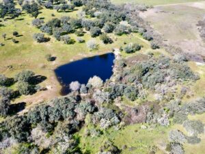 Venta de finca ganadera en la provincia de Cáceres. 52 hectáreas