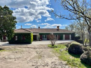Venta de finca de 21 hectáreas en el Valle del Tiétar (Ávila)