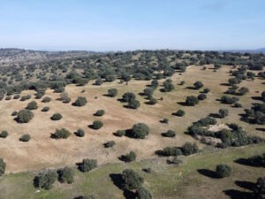 Venta de finca de 110 hectáreas en la provincia de Toledo