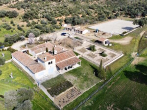 Venta de finca en los montes de Toledo. 105 hectáreas