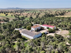 Venta de finca en la provincia de Toledo. 20 hectáreas