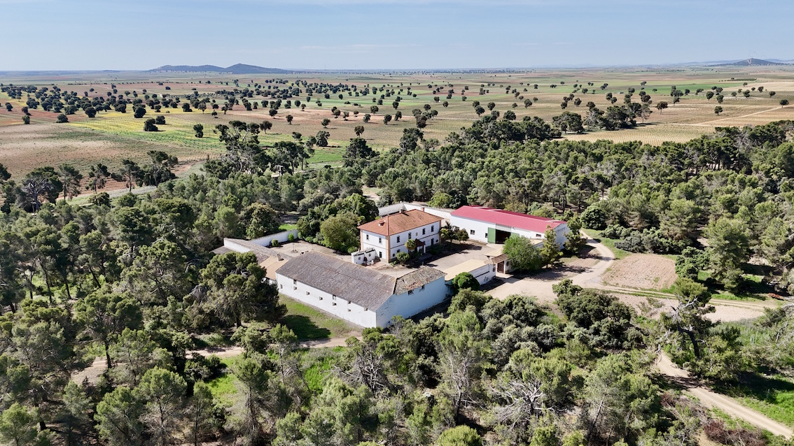 Venta de finca en la provincia de Toledo. 20 hectáreas