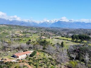 Venta de finca en la zona de La Vera, con 8,6 hectáreas y 250 m2 de casa