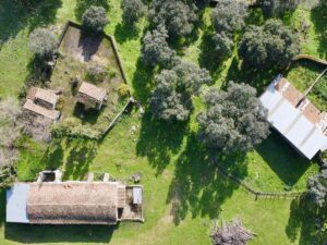 Venta de finca en la provincia de Toledo. 55 hectáreas