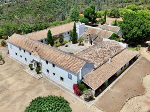 Venta de finca en la provincia de Sevilla. 89 hectáreas