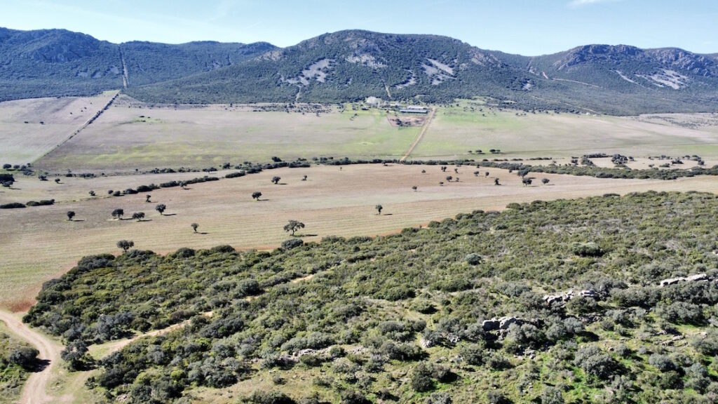 Venta de finca en la provincia de Ciudad Real. 611 hectáreas