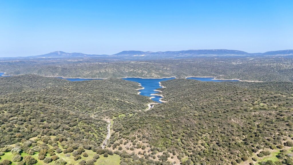 Vente de maison dans la communauté de Madrid, de 3 hectares et maison de 320 m2. (copia) (copia) (copia) (copia) (copia) (copia) (copia) (copia)