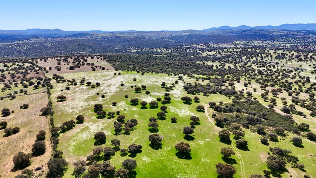 Vente de maison dans la communauté de Madrid, de 3 hectares et maison de 320 m2. (copia) (copia) (copia) (copia) (copia) (copia) (copia) (copia) (copia)